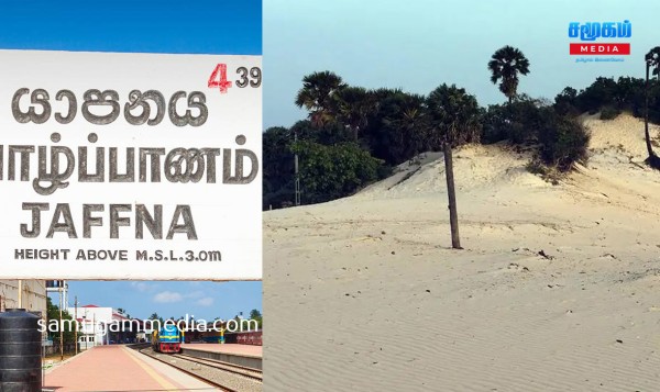 யாழில் அறுவர் கைது..! சிலர் தப்பியோட்டம் - வனவள பாதுகாப்பு திணைக்களத்தினர் அதிரடி samugammedia 